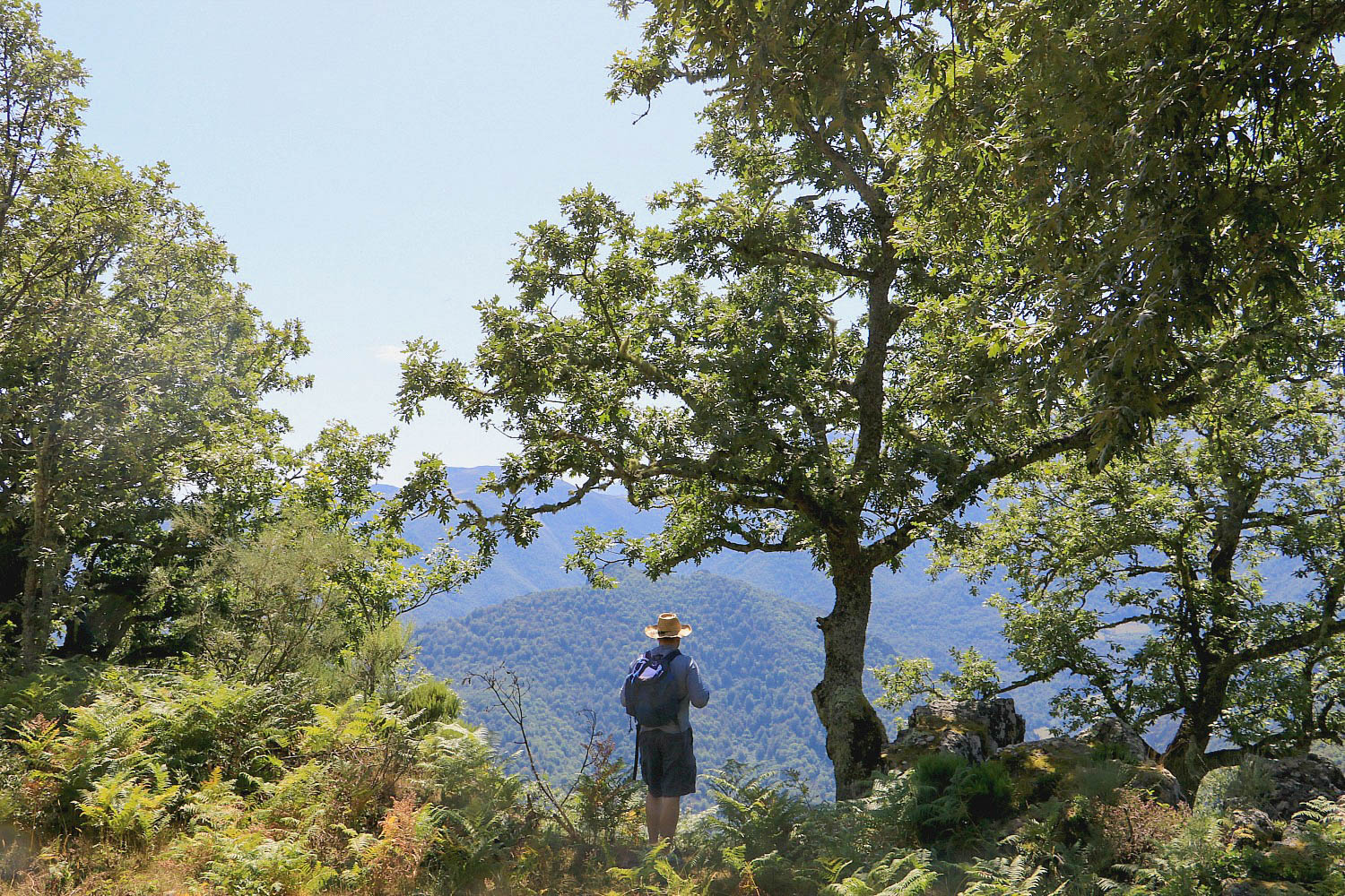 Taking in the views of the mountains in places to visit in Northern Spain - POD Travels