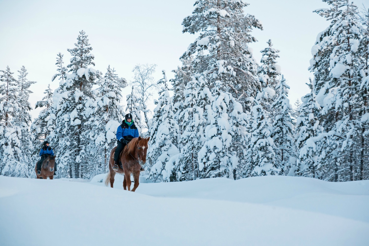 Kakslauttanen horse safari 3 small