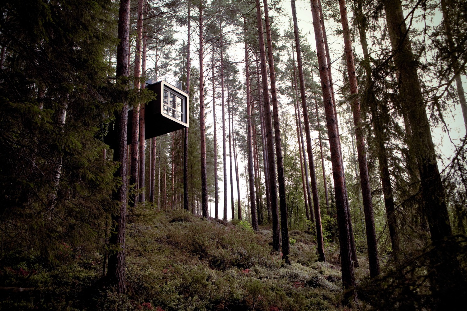POD Travels cabin_bonus_exterior_