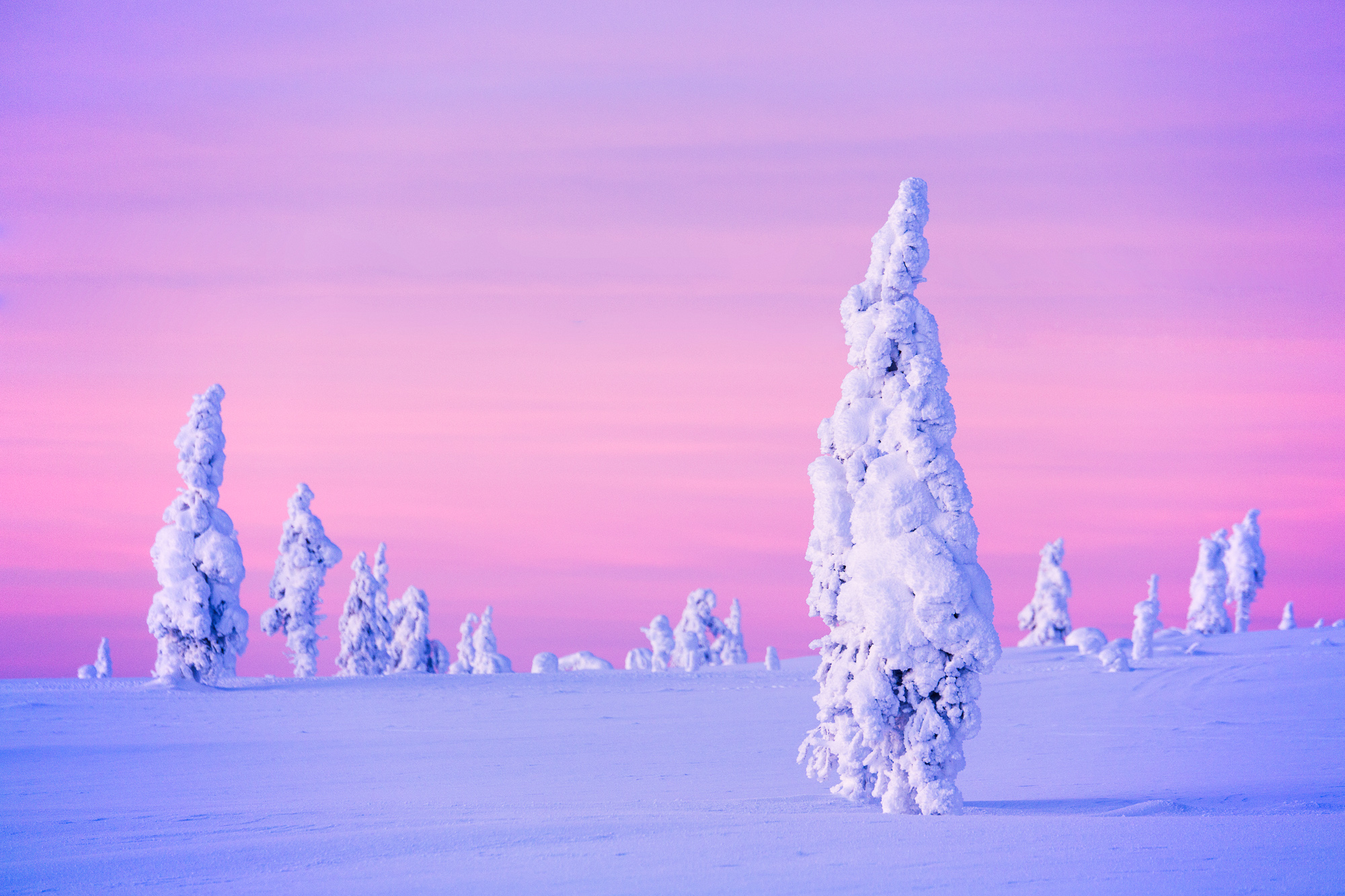 kakslauttanen-frozen-trees-2-valtteri-hirvonen